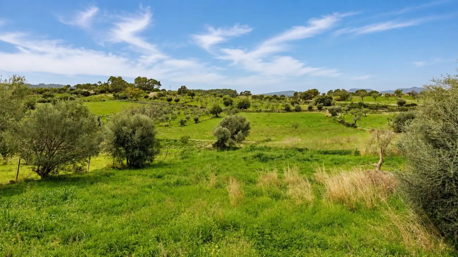 Residential for sale in Selva