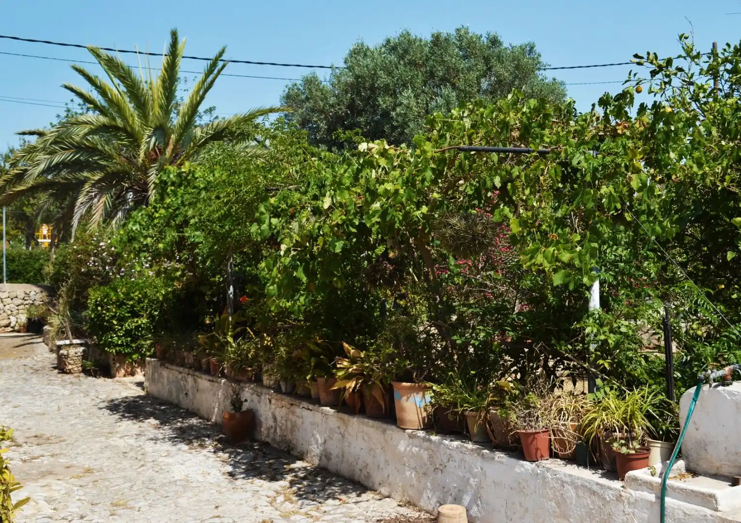 Casa o xalet en venda a Ma-1040, El Secar de la Real