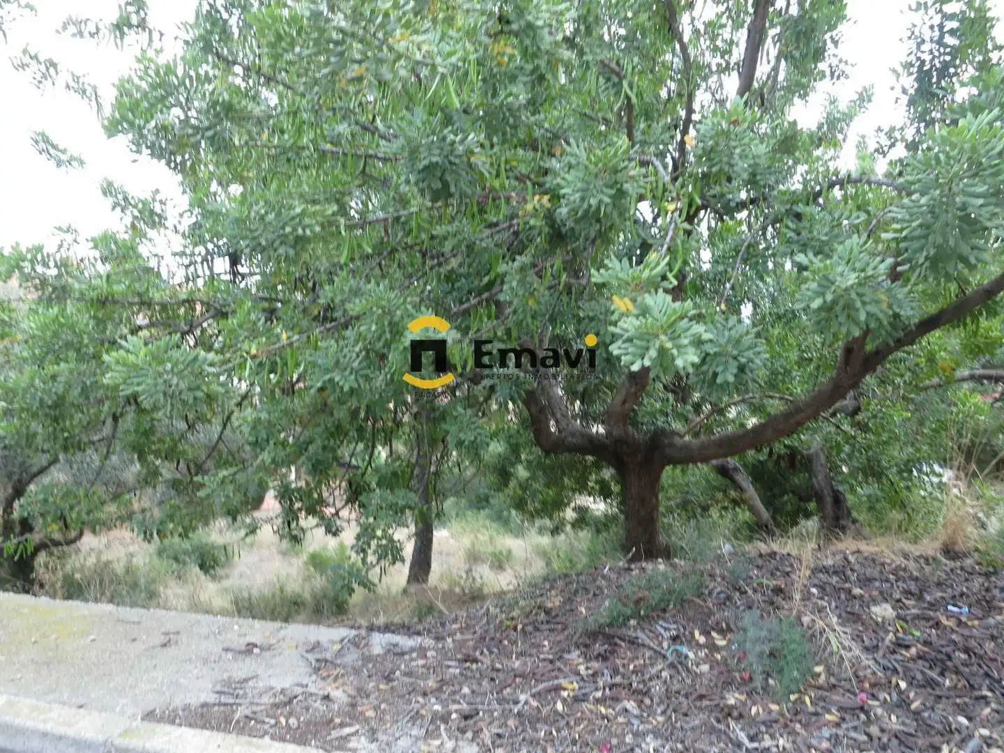 Residential land for sale in ኡርባኒሳሲኦን ማሲአ ጋኤታ 153, imagen 5