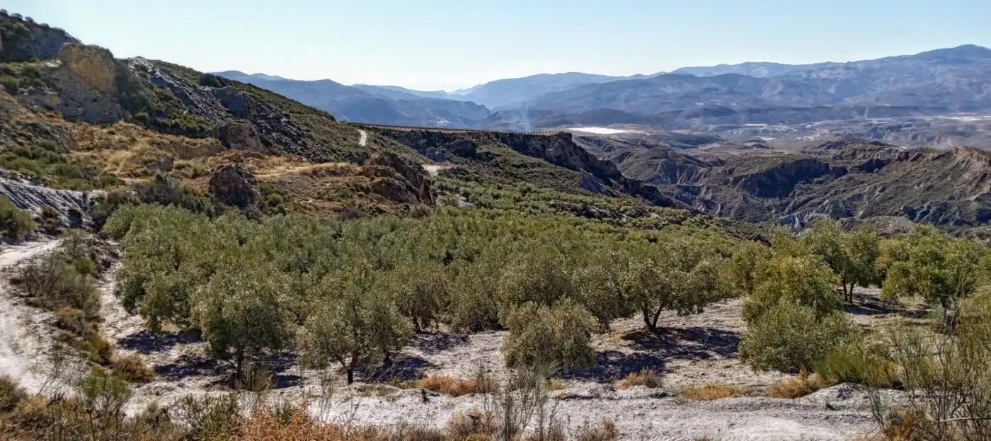 Casa rústica en venda a Nevada, imagen 33