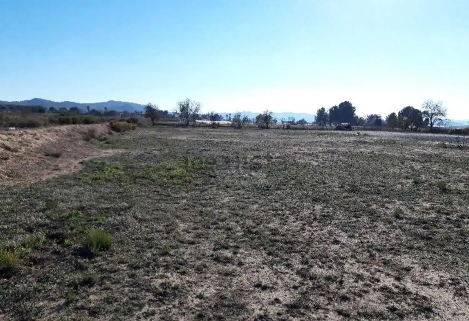 Terreno rústico en venta en Monforte del Cid, imagen 2