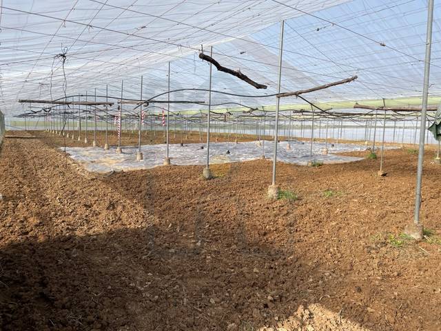 Terreno en Venta en Pedanías Norte