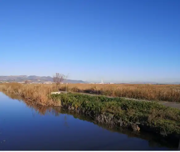 Finca rústica en venda en La Llosa