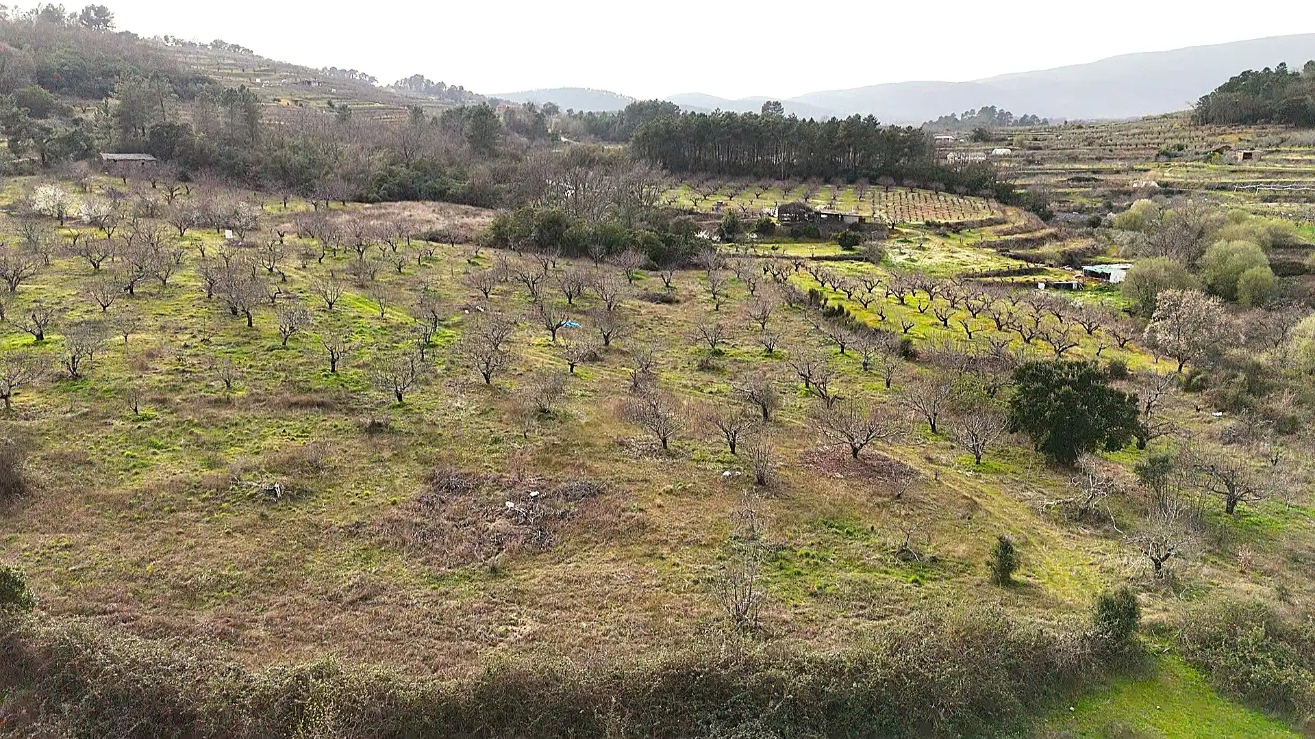 Terreno en venta en Collado de la Vera