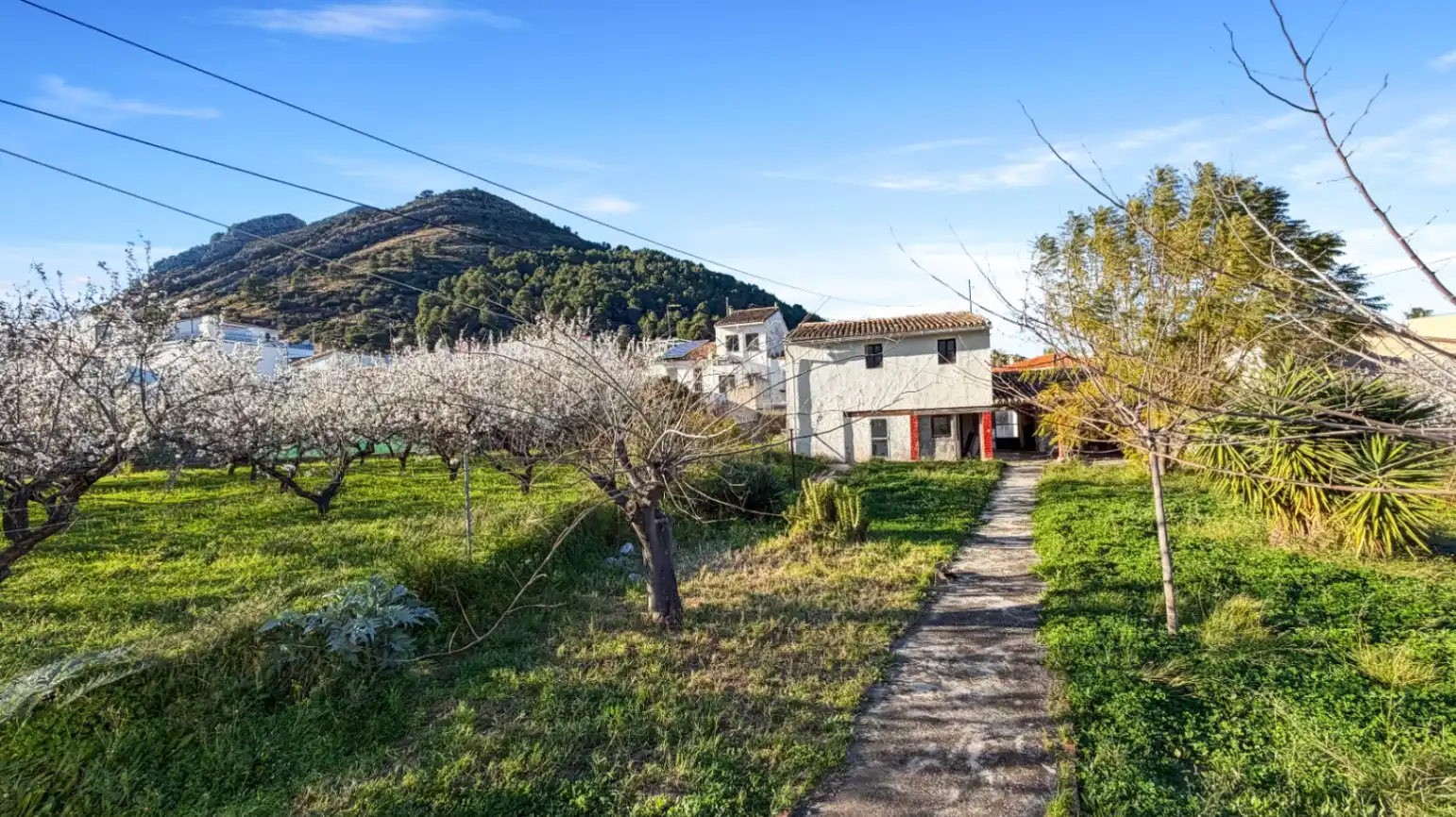Maison rustique avec jardin à vendre à Murla, imagen 3