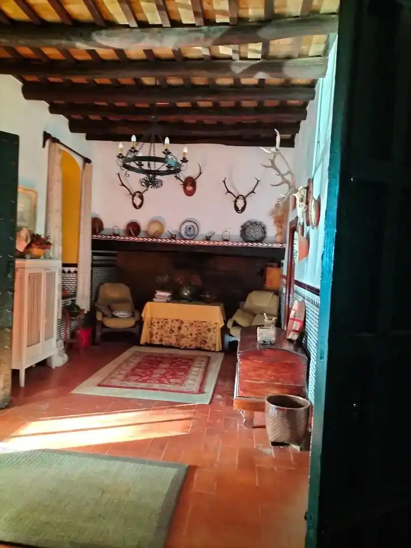Finca rústica en venda en Peñaflor amb Aire condicionat, Jardí privat i Traster