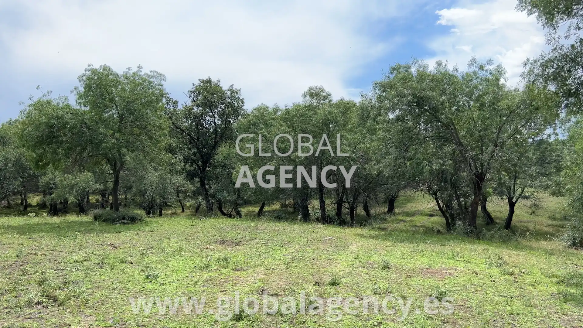 Rural land for sale in Soto del Real, imagen 12
