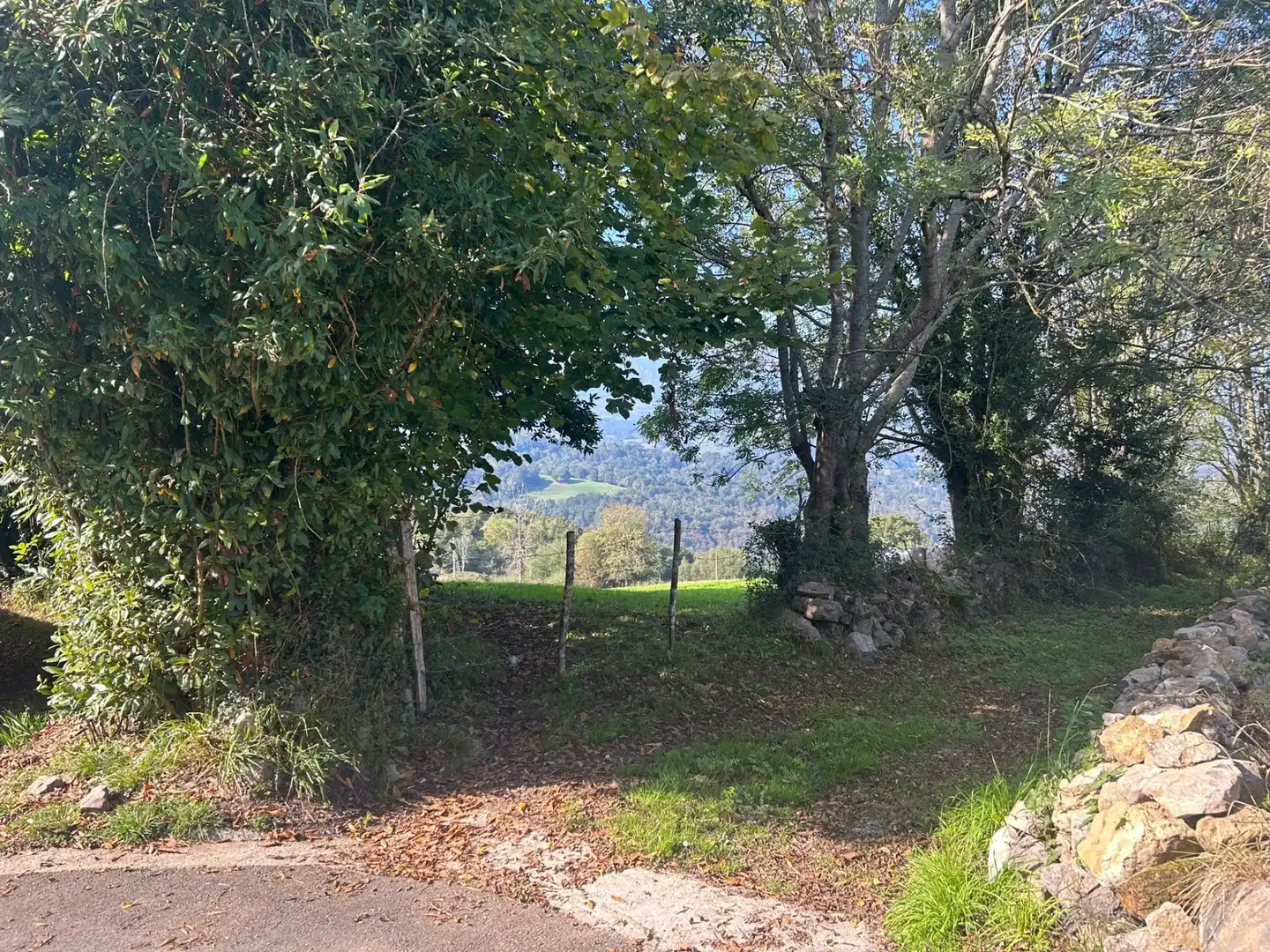 Terrenos y solares en venta en Parres, imagen 4