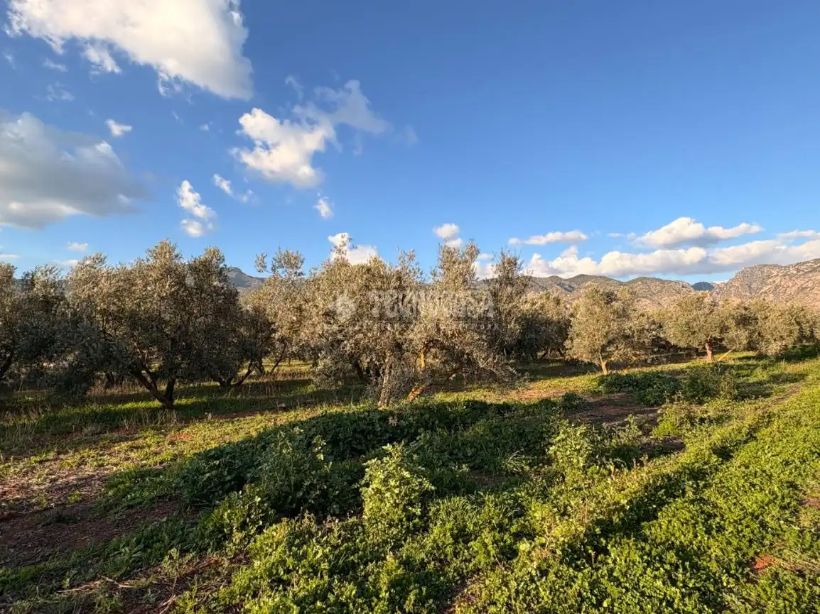 Rural land for sale in Dúrcal, imagen 9