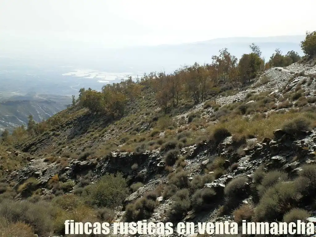 Terreny rústic en venda a Pechina, imagen 22