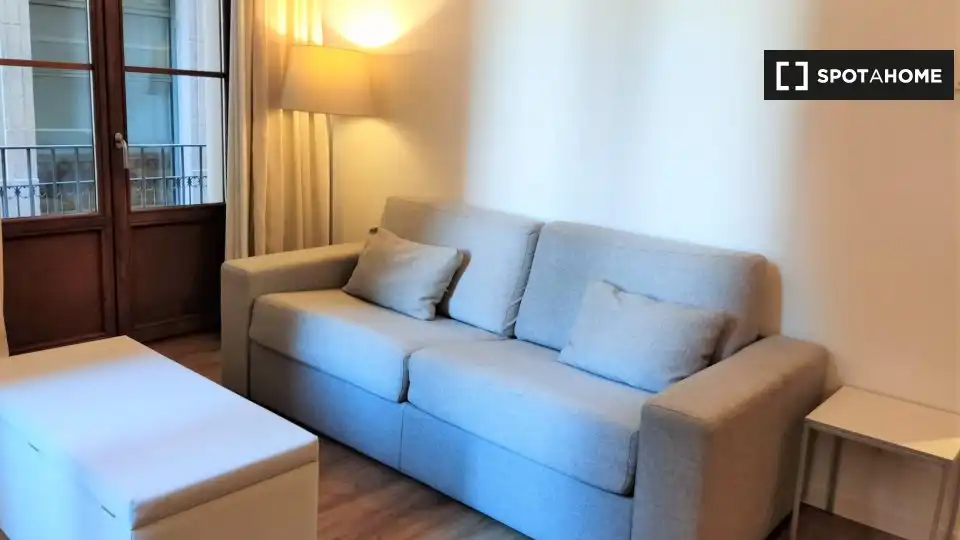 Appartamento con terrazza in affitto a Ciutat Vella, imagen 19