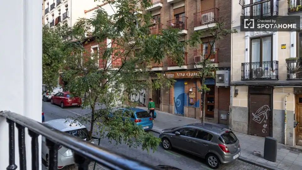 Room in Embajadores - Lavapiés