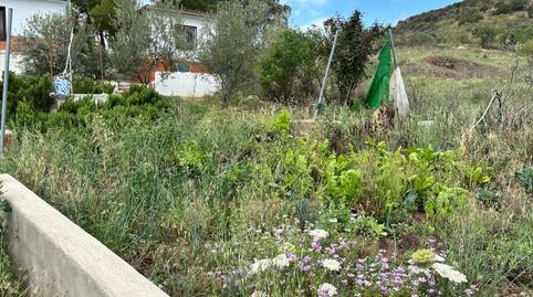 Foto 3 de Finca rústica en venda a Villanueva del Rey, Córdoba