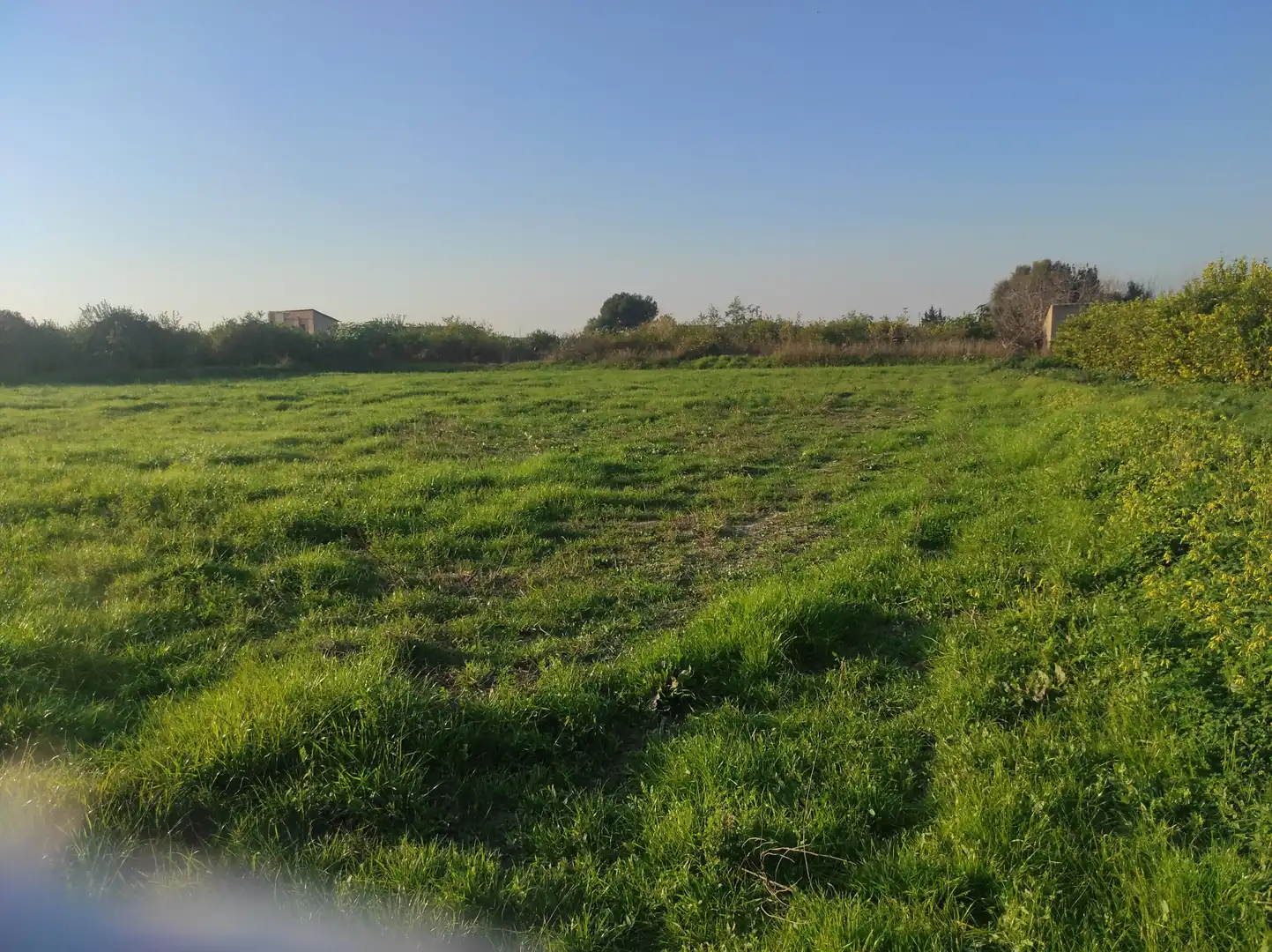 Terrenys i solars en venda a Pedanías Este, imagen 4