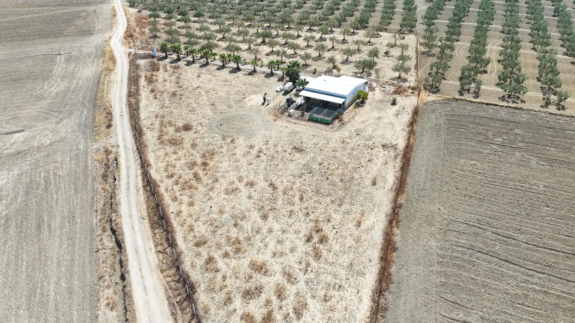 Rural land for sale in Polígono 12 Parcela 177 LA CORIANA. OLIVARES (SEV, imagen 5