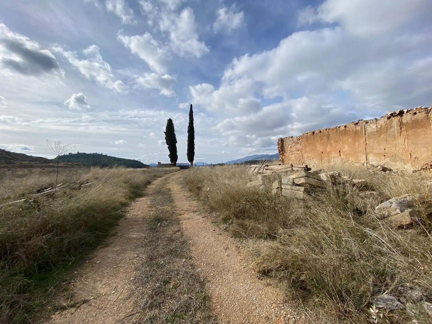Terreni e lotti in vendita a Cehegín, imagen 54