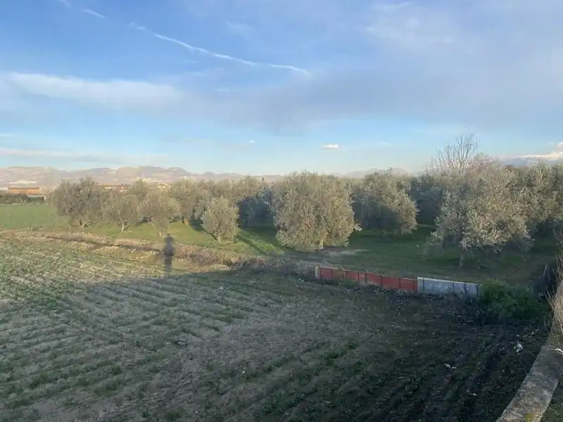 Finca rústica en venda en Vegas del Genil