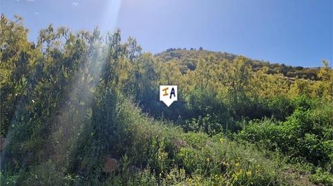 Photo 2 of Residential for sale in Algarrobo pueblo, Málaga