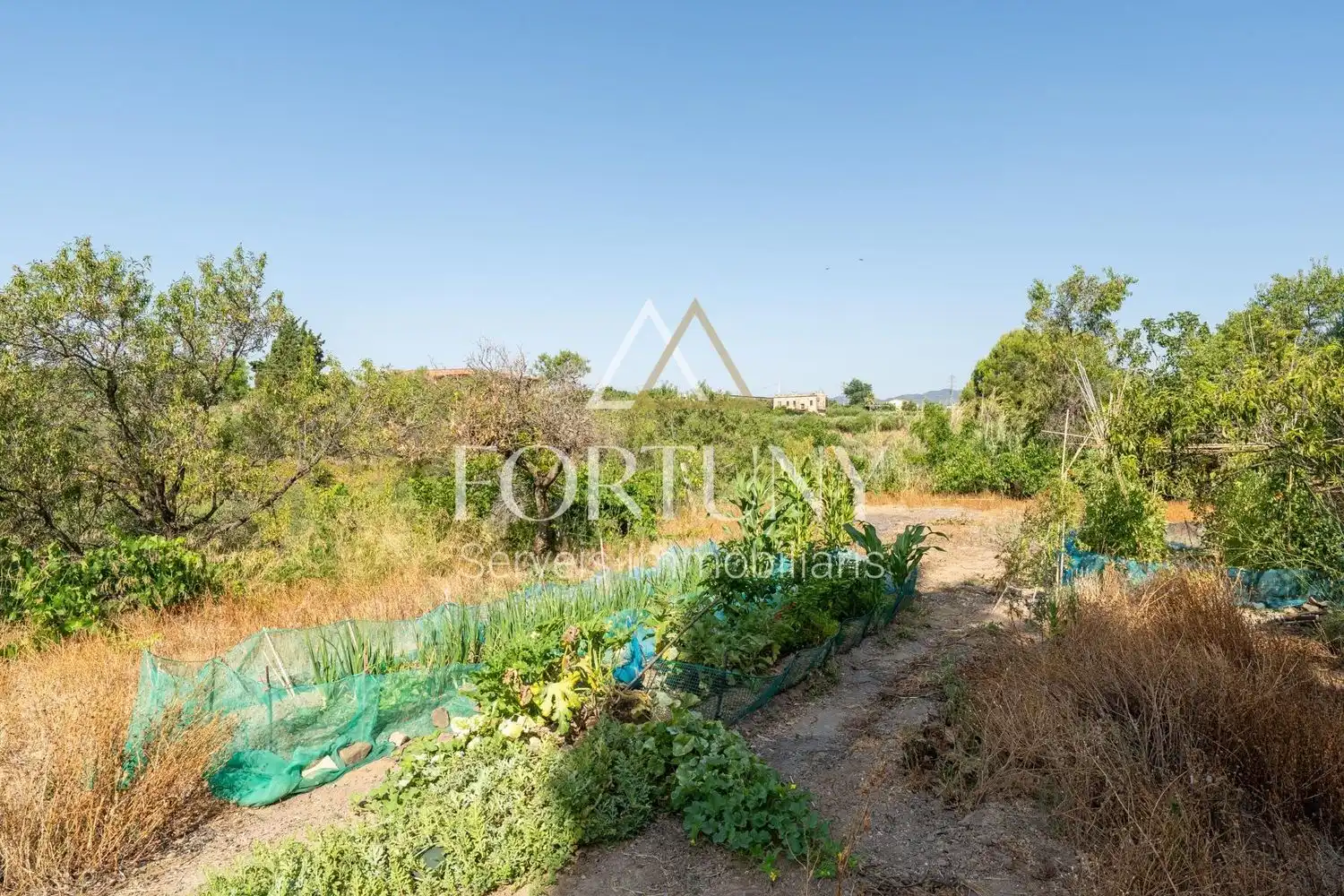 House with pool for sale in del Freixe, imagen 37