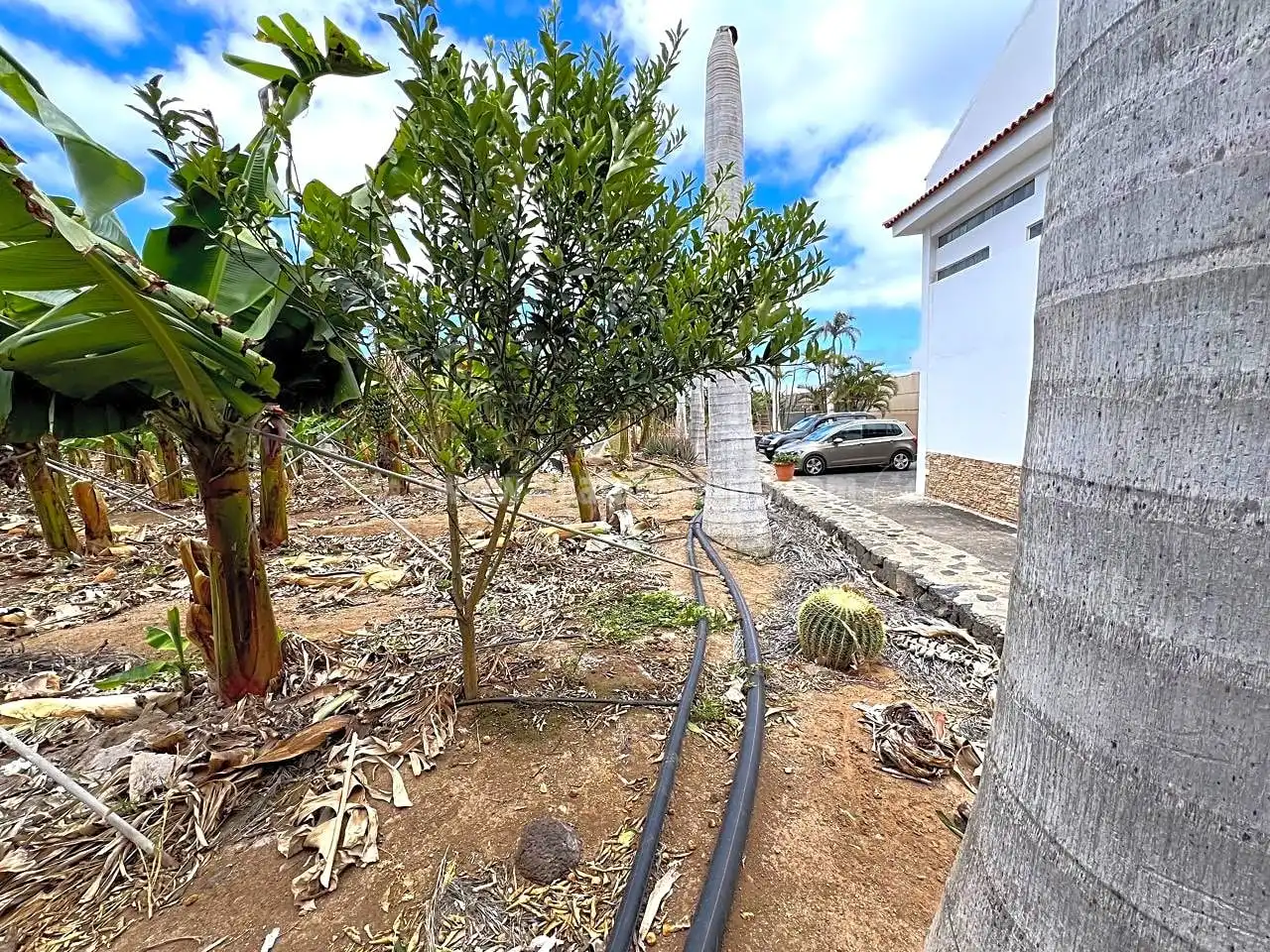 Vista exterior de Finca rústica en venta en Los Silos con Jardín privado y Terraza