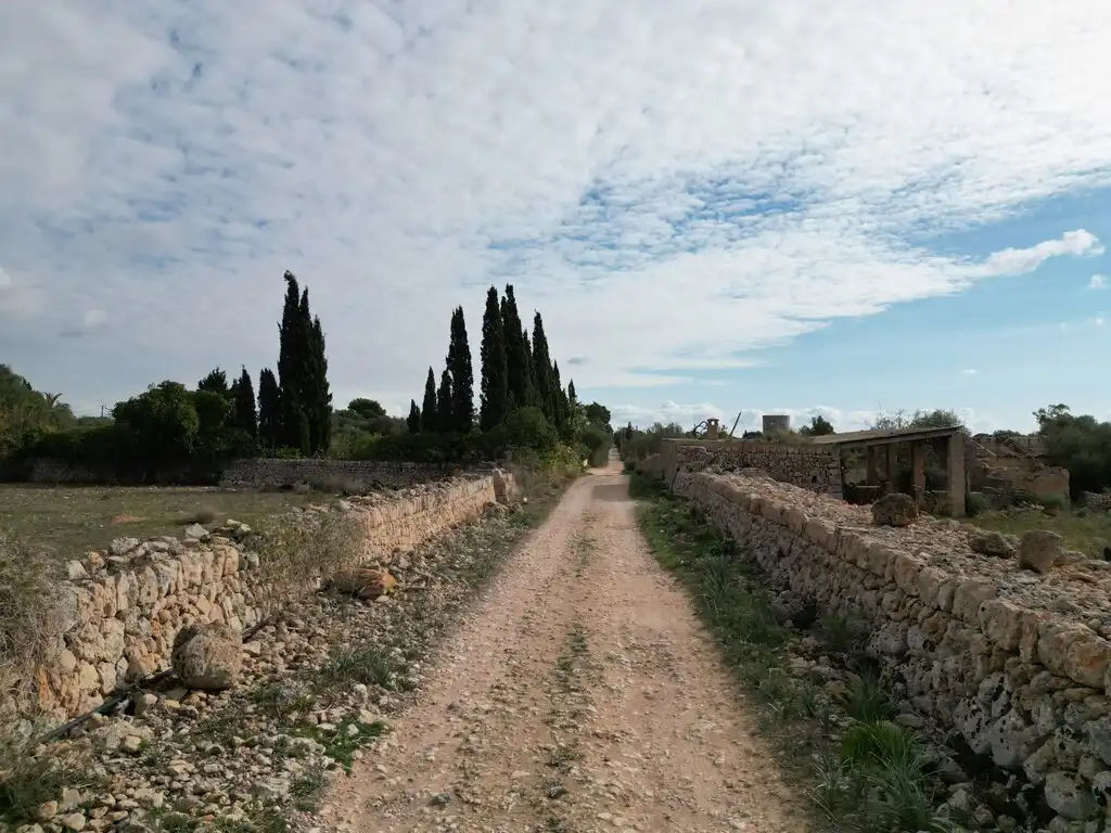 Terreno rustico in vendita a Llucmajor pueblo, imagen 16