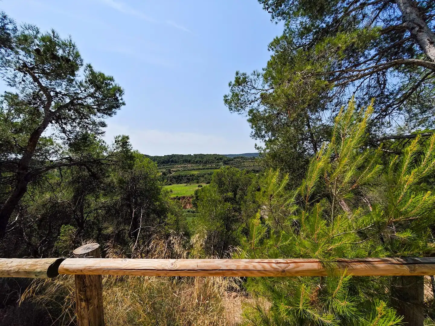Garden of Houses for sale in Cabrera d'Anoia  with Heating, Private garden and Terrace