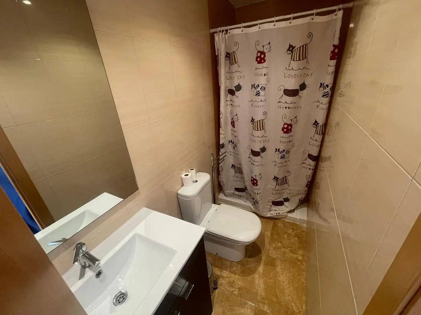 Bany de Dúplex en venda en Sant Jaume dels Domenys amb Aire condicionat, Terrassa i Traster