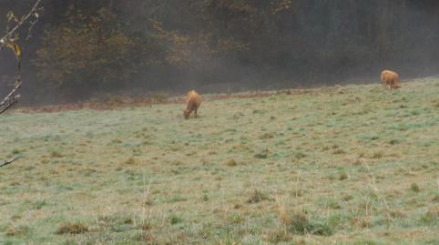 Photo 4 of House or chalet for sale in Las Regueras  , Asturias