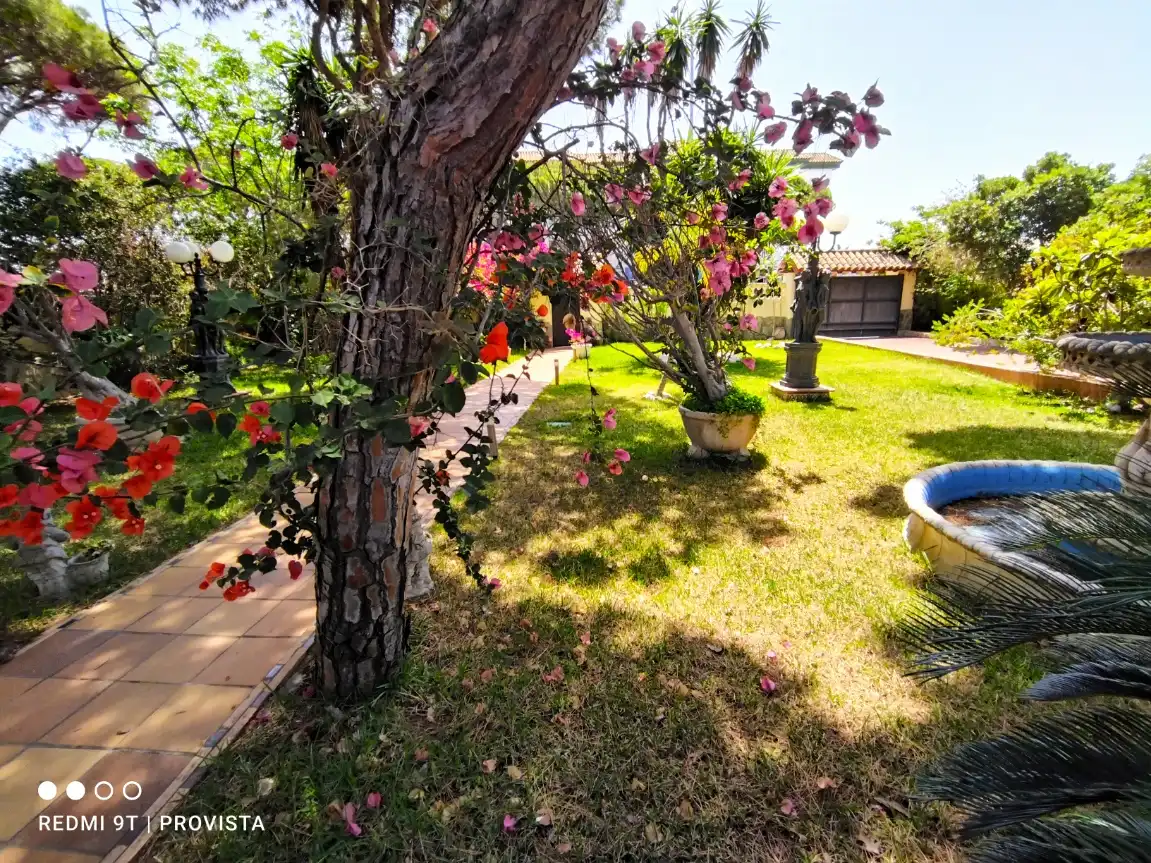 Villa con terrazza in affitto a Avenida de la Barrosa 11, imagen 47