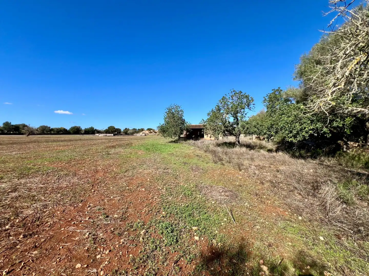 Lands and plots for sale in Zona Rústica - Interior, imagen 10