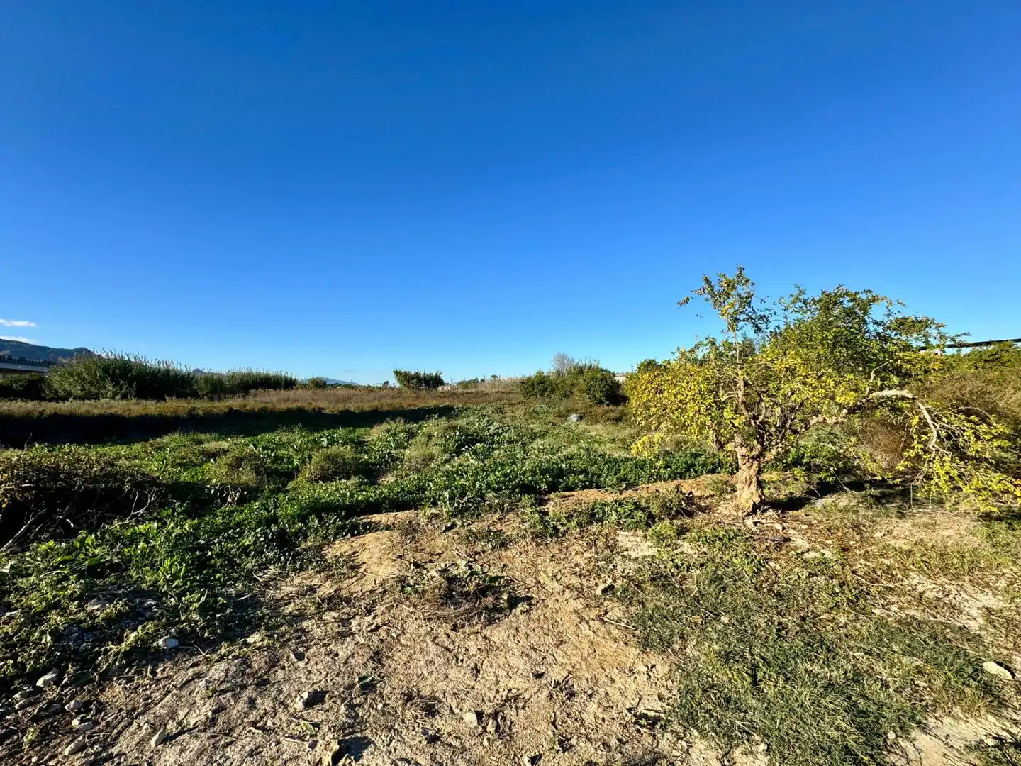 Finca rústica en venta en Murcia