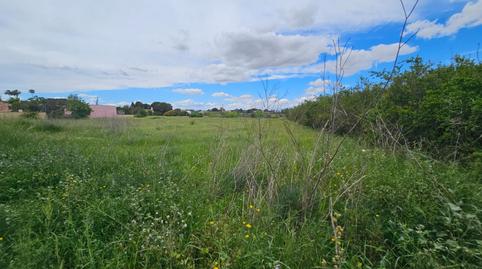 Foto 4 de Residencial en venta en Partida Valverde Bajo, 9014, Valverde, Elche / Elx