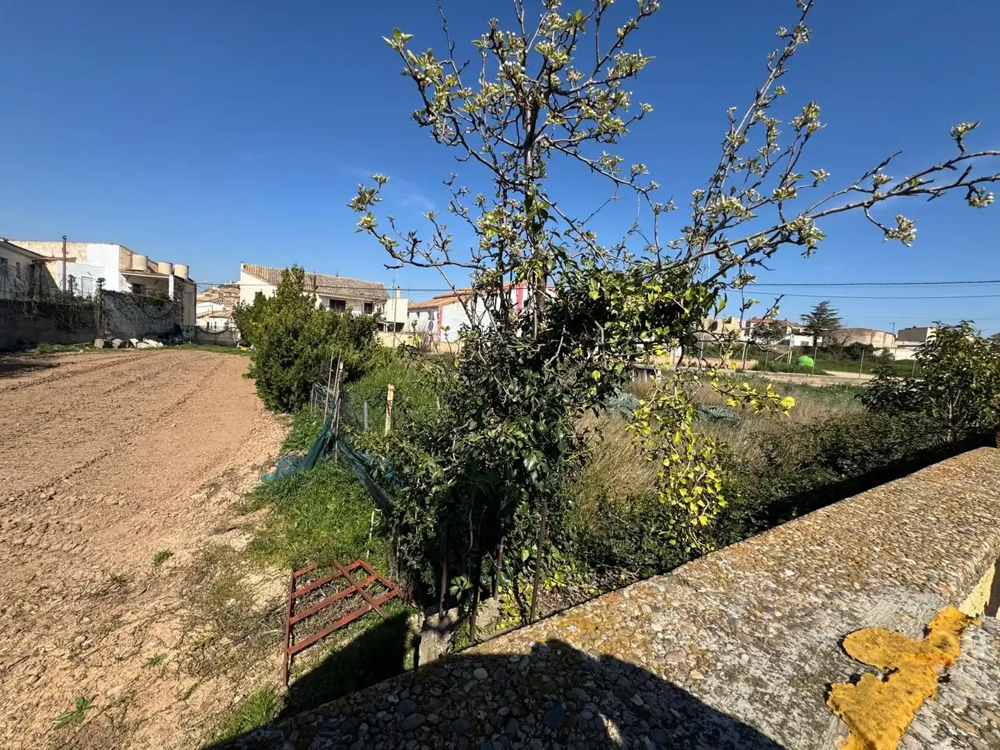 Terreni e lotti in vendita a carretera rueda, imagen 19