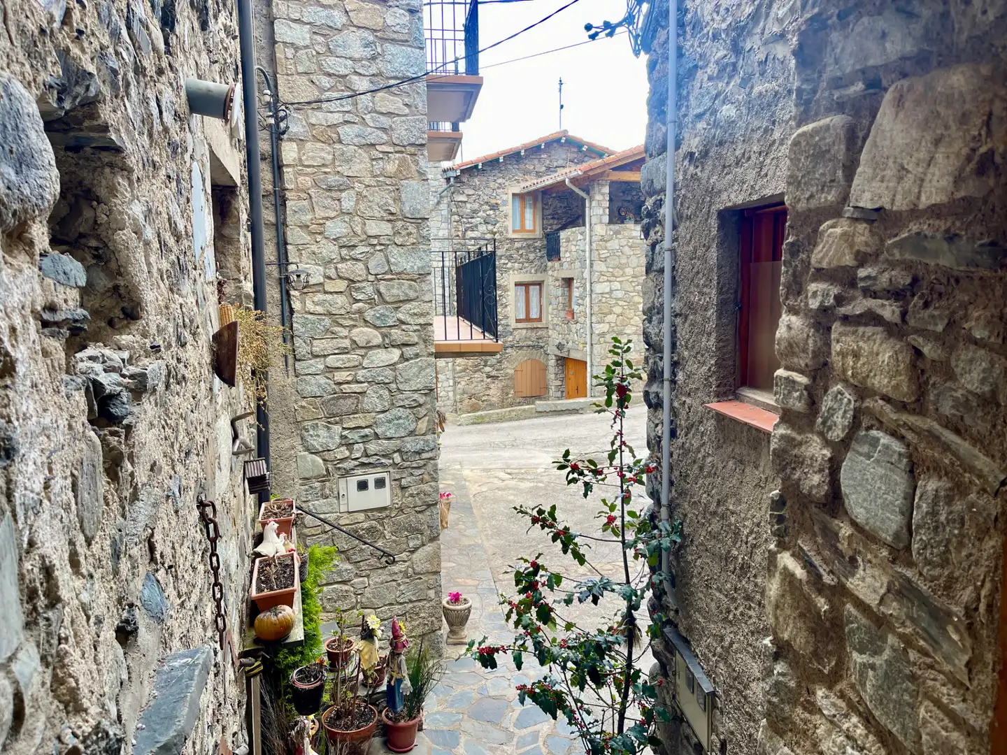 Vista exterior de Finca rústica en venta en Setcases con Calefacción, Amueblado y Horno