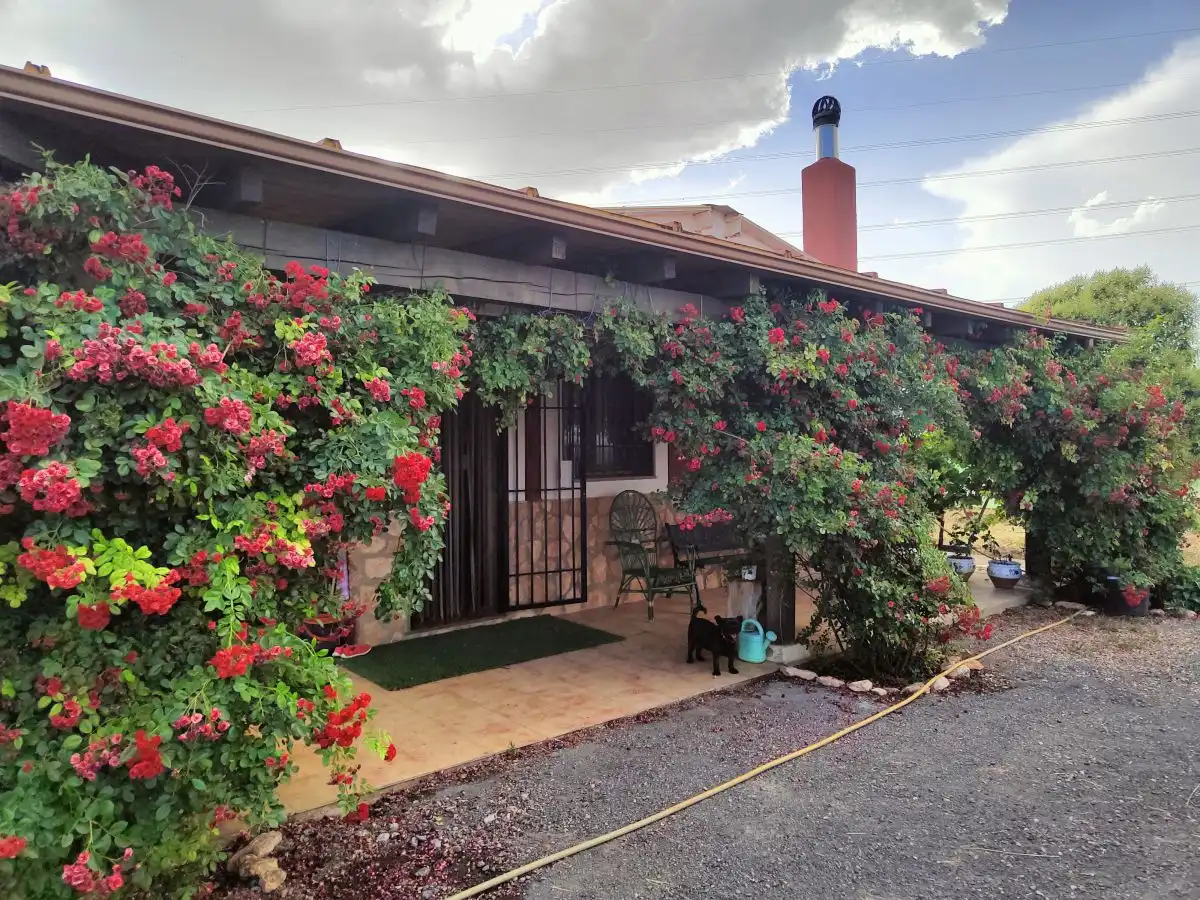Casa rústica en venda a Valdepeñas