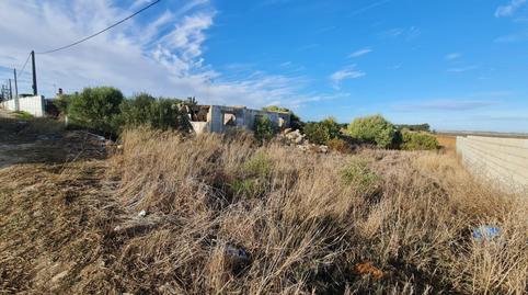 Foto 5 de Terreno en venta en  Camino Molino de Cafe, La Soledad, Chiclana de la Frontera