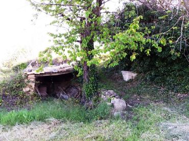 Terreno rustico in vendita a Torre del Compte