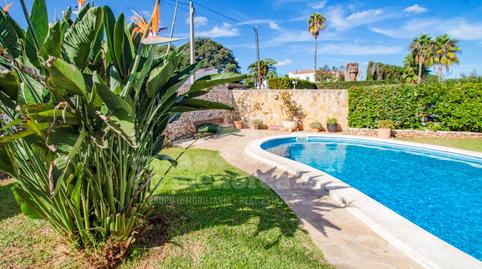 Foto 2 de Finca rústica en venda a Trebalúger, Illes Balears