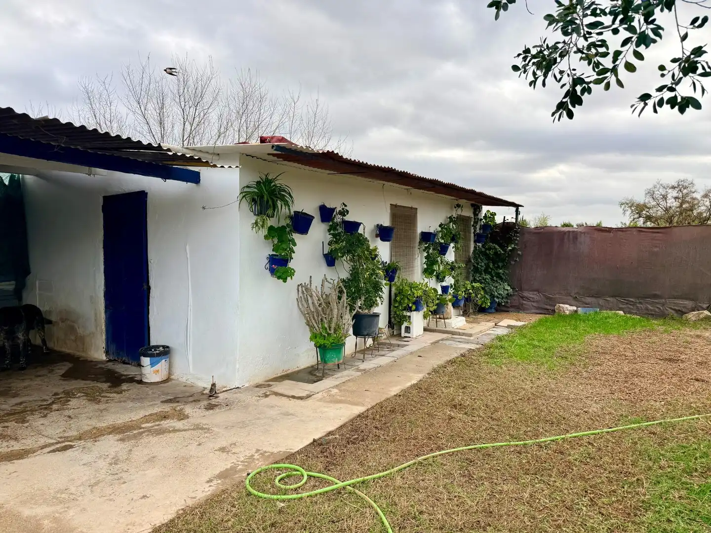 Vista exterior de Casa o chalet en venta en Carmona con Aire acondicionado, Jardín privado y Trastero