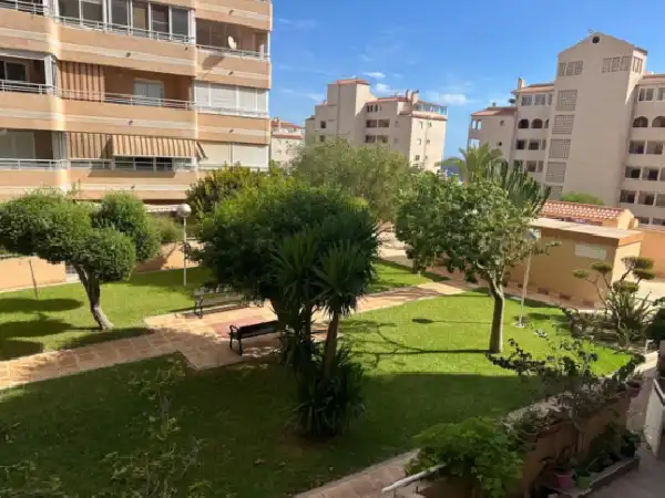 Garden of Flat for sale in Elche / Elx  with Private garden, Swimming Pool and Community pool