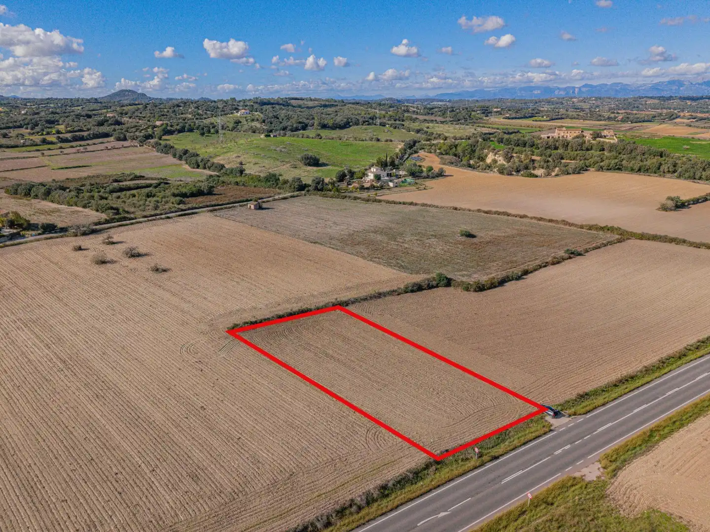 Rural land for sale in Carretera Carretera de Petra a Santa Margalida