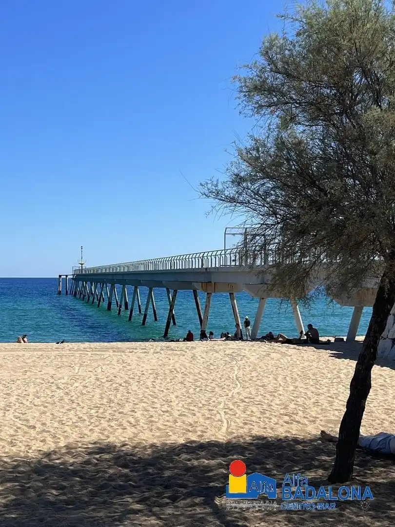 Vista exterior de Piso en venta en Badalona con Aire acondicionado, Calefacción y Jardín privado