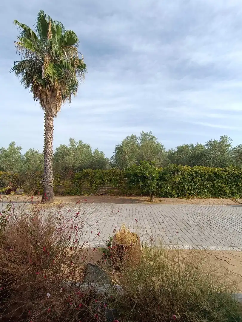 Villa mit Pool zum Verkauf in Villanueva de la Serena, imagen 23