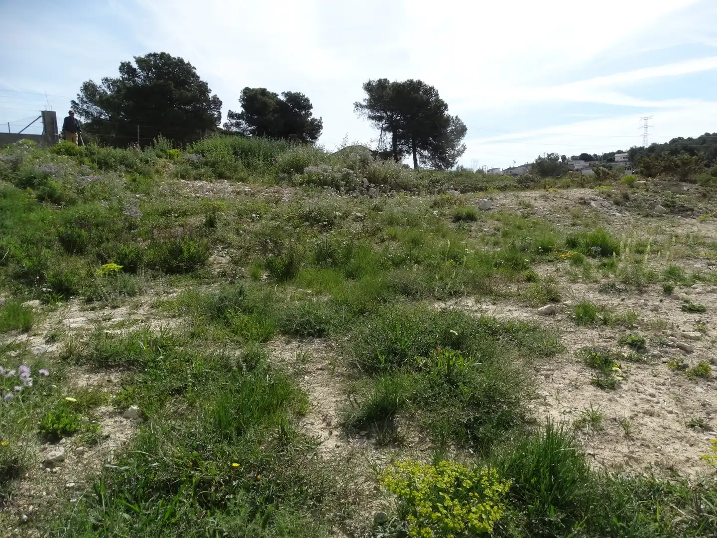 Terreny residencial en venda a Canyelles, imagen 2