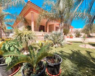 Garden of House or chalet for sale in  Murcia Capital  with Air Conditioner and Terrace