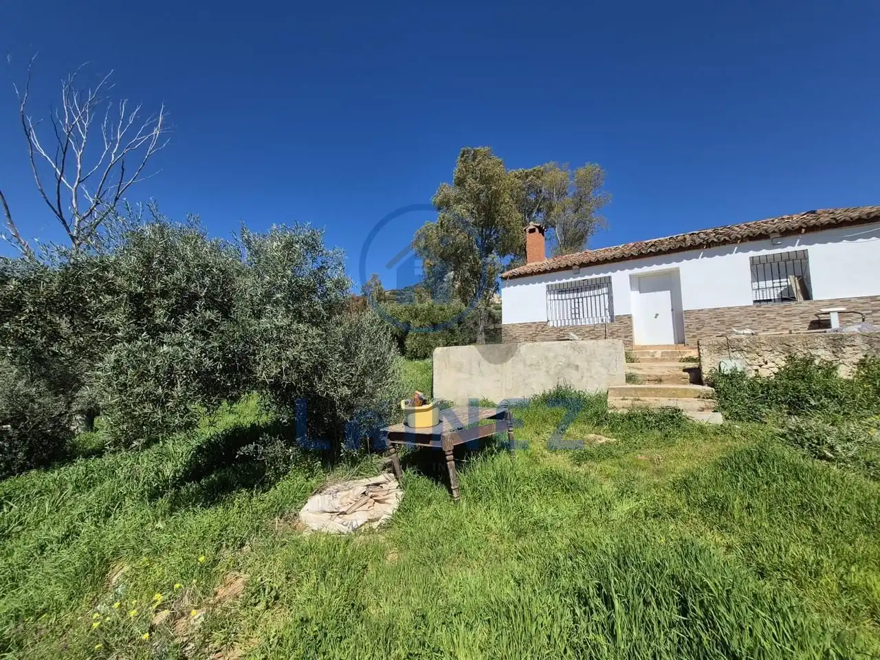 Garten von Grundstücke zum Verkauf in Peñarroya-Pueblonuevo