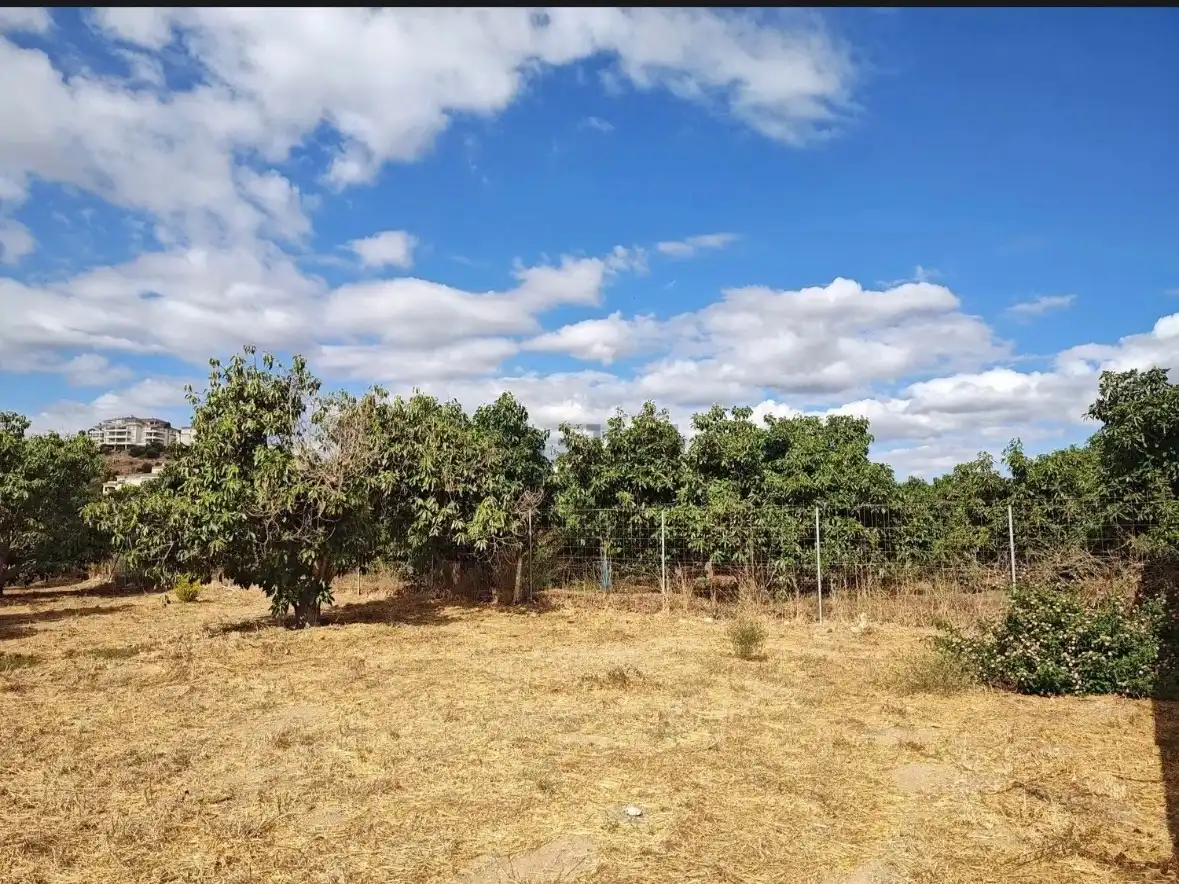 Terreni e lotti in vendita a Rincón del hinojal 0, imagen 2