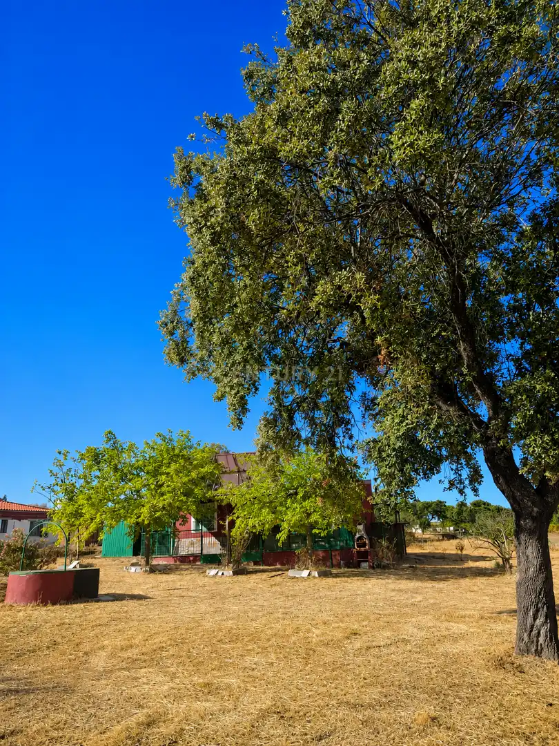 Vista exterior de Casa o chalet en venta en Cáceres con Piscina