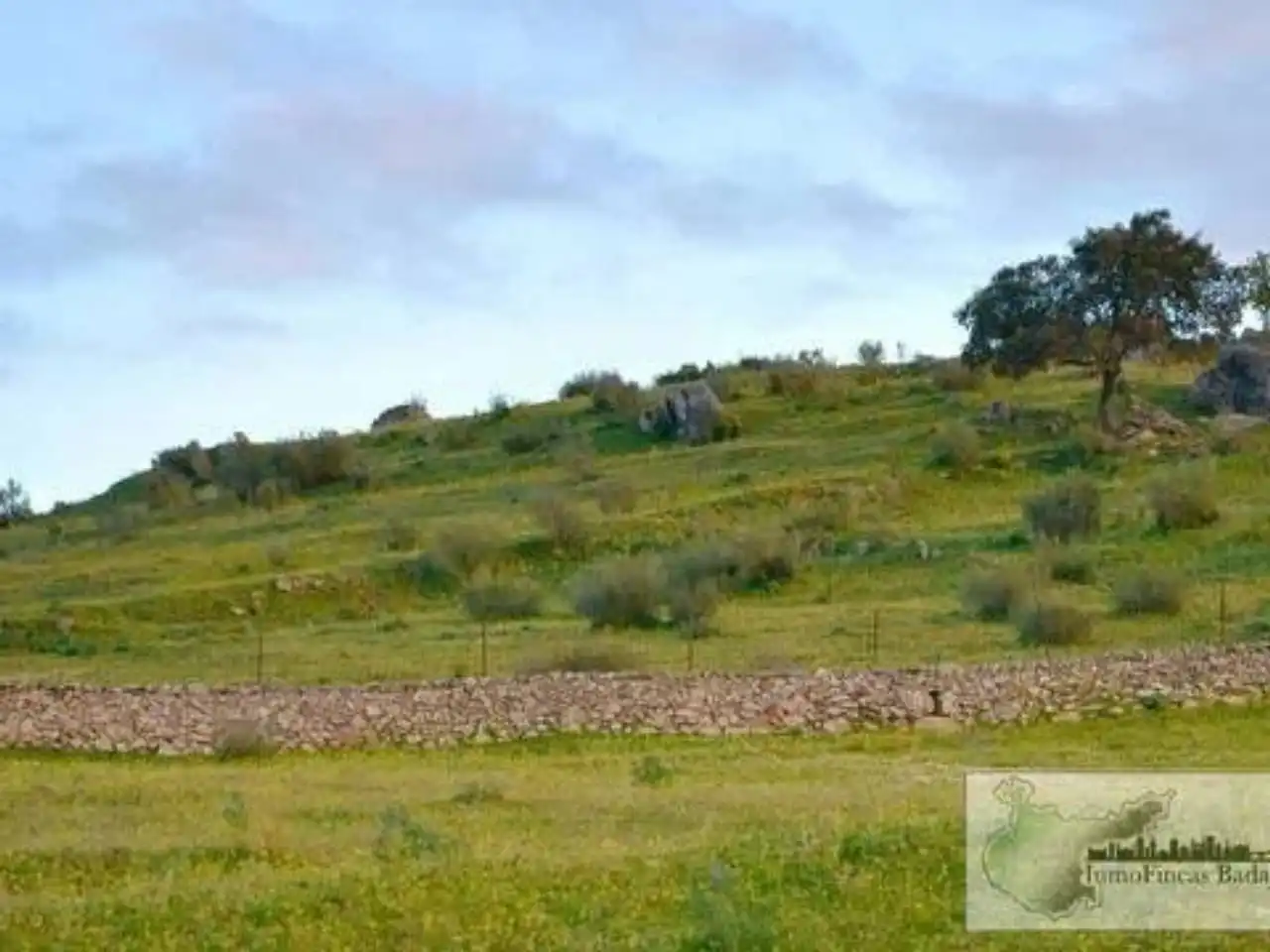 Finca rústica en venta en Higuera de Vargas con Aire acondicionado, Jardín privado y Terraza