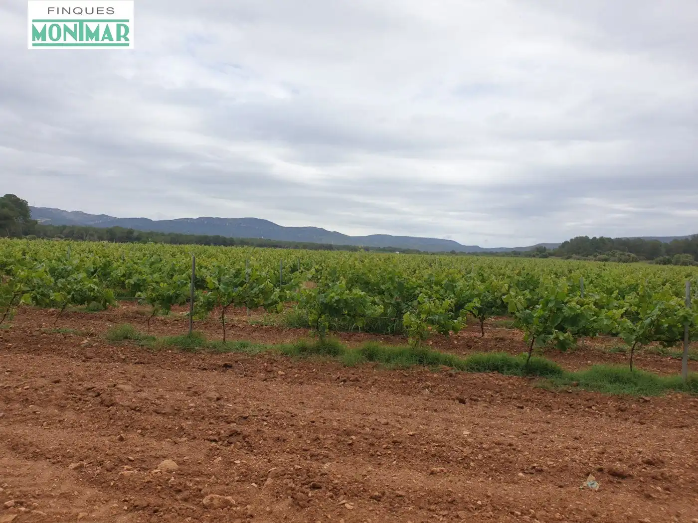 Finca rústica en venda en El Pla de Santa Maria